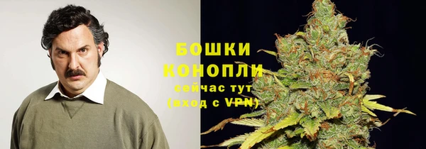 индика Нязепетровск