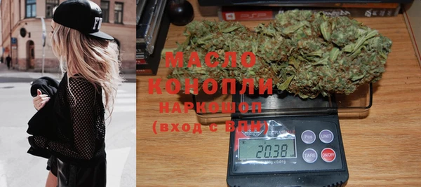 индика Нязепетровск
