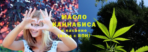 индика Нязепетровск