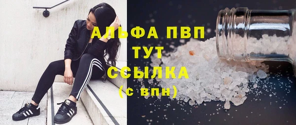 индика Нязепетровск