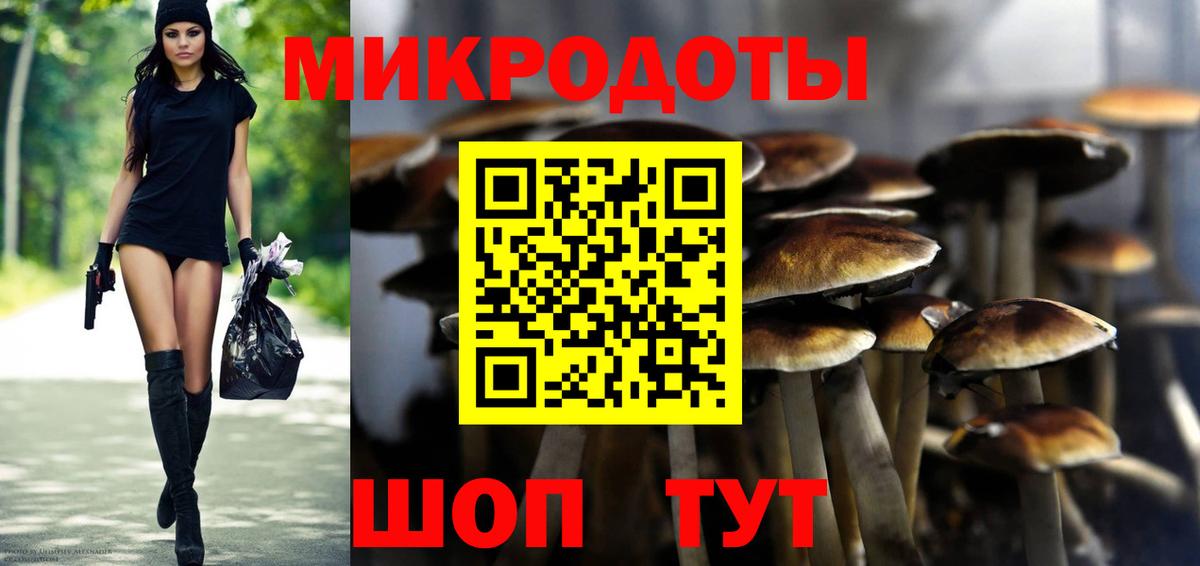 Саратов  Галлюциногенные грибы прущие грибы  Вход с VPN 